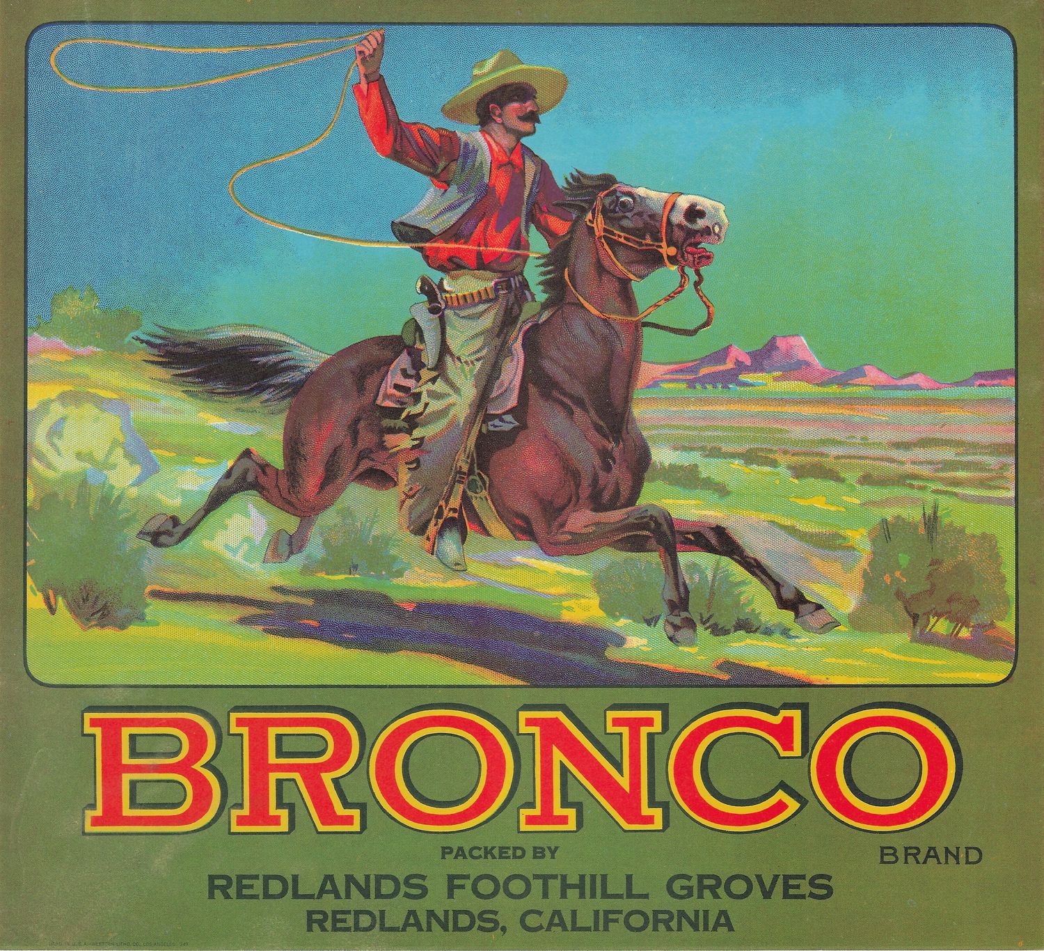 20th Century Fruit Label - Bronco Oranges of Redlands