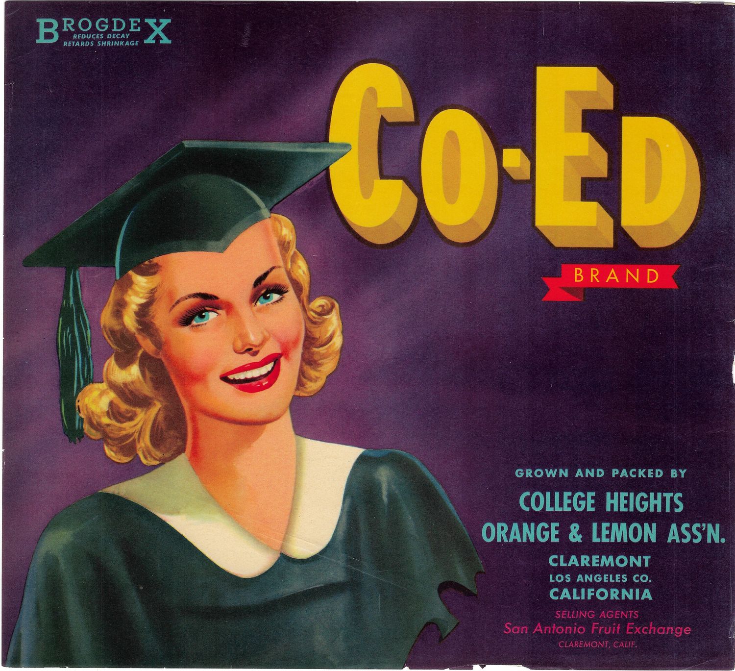 20th Century Fruit Label - Co-Ed Oranges of Claremont