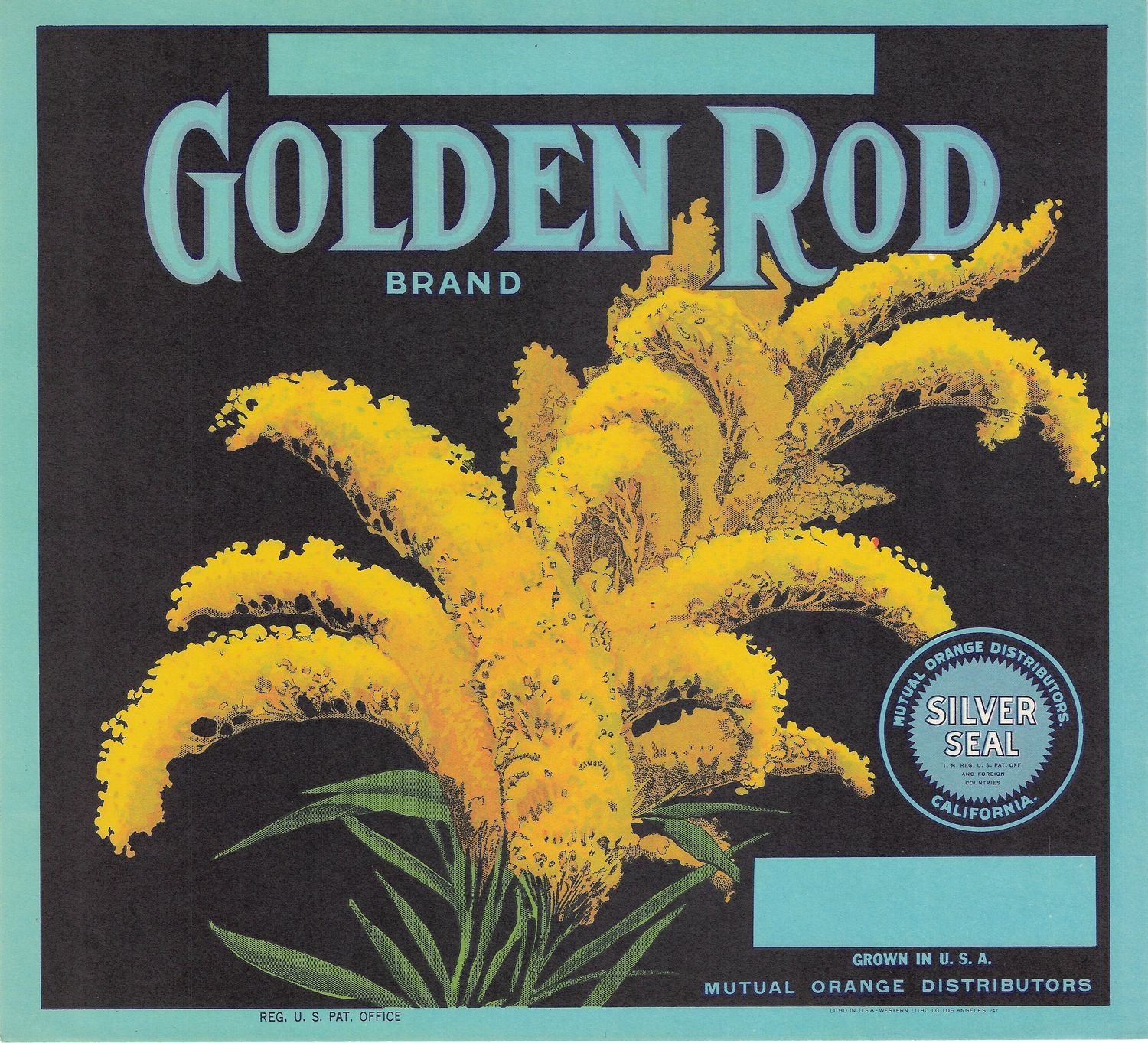 20th Century Fruit Label - Golden Rod Oranges
