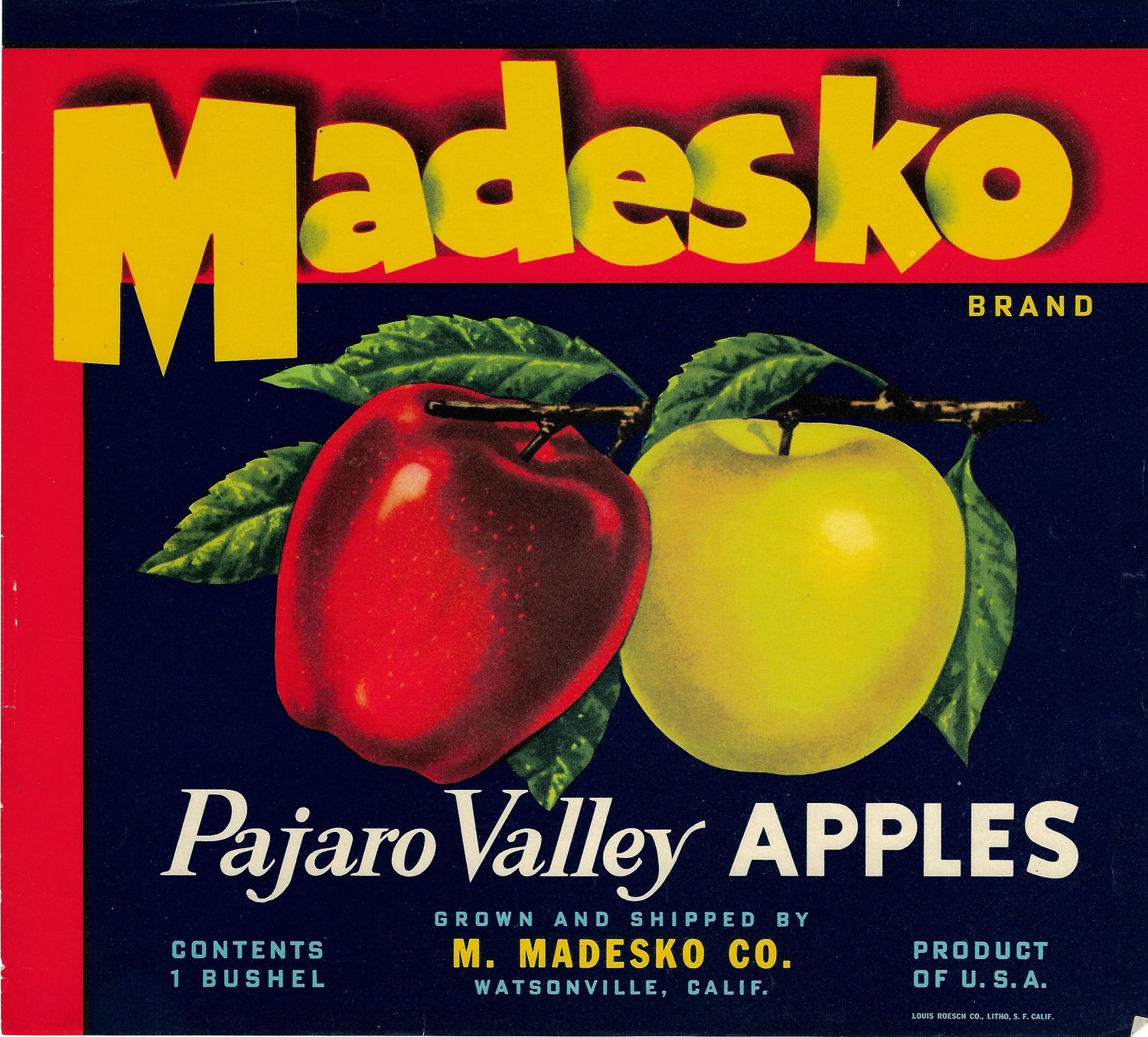 20th Century Fruit Label - Medesco Apples of Pajaro Valley