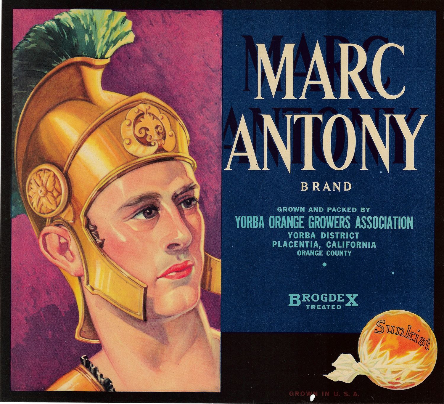 20th Century Fruit Label - Mark Anthony Oranges of Yorba