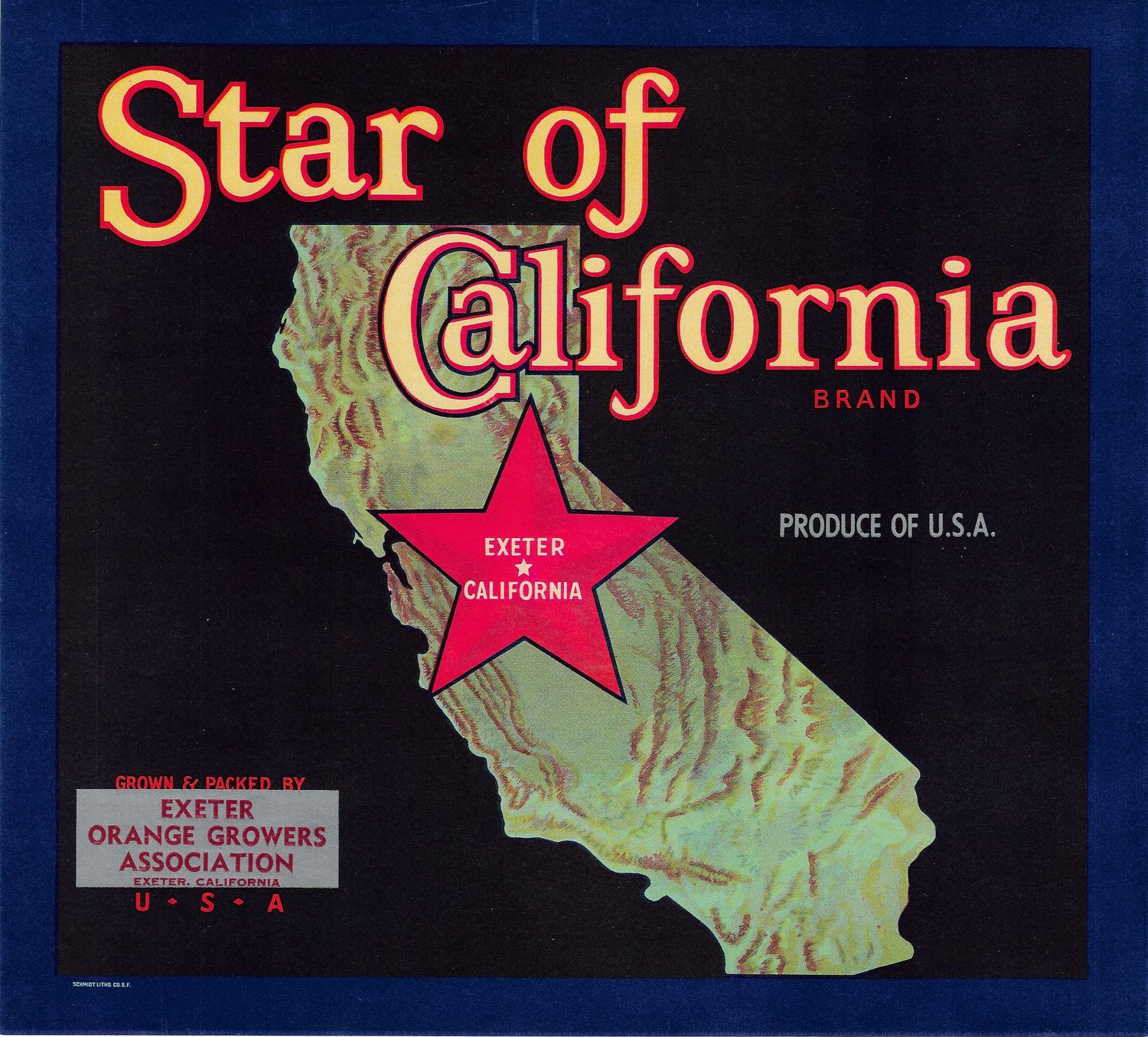 20th Century Fruit Label - Star of California Oranges of Exeter
