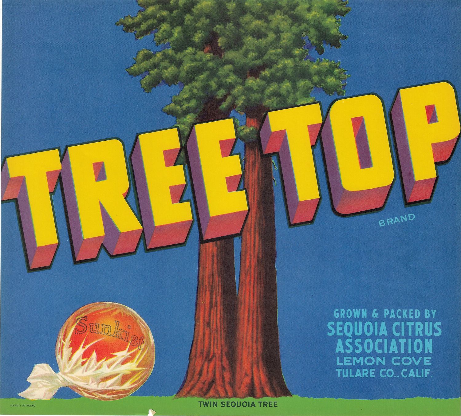 20th Century Fruit Label - Tree Top Oranges of Tulare