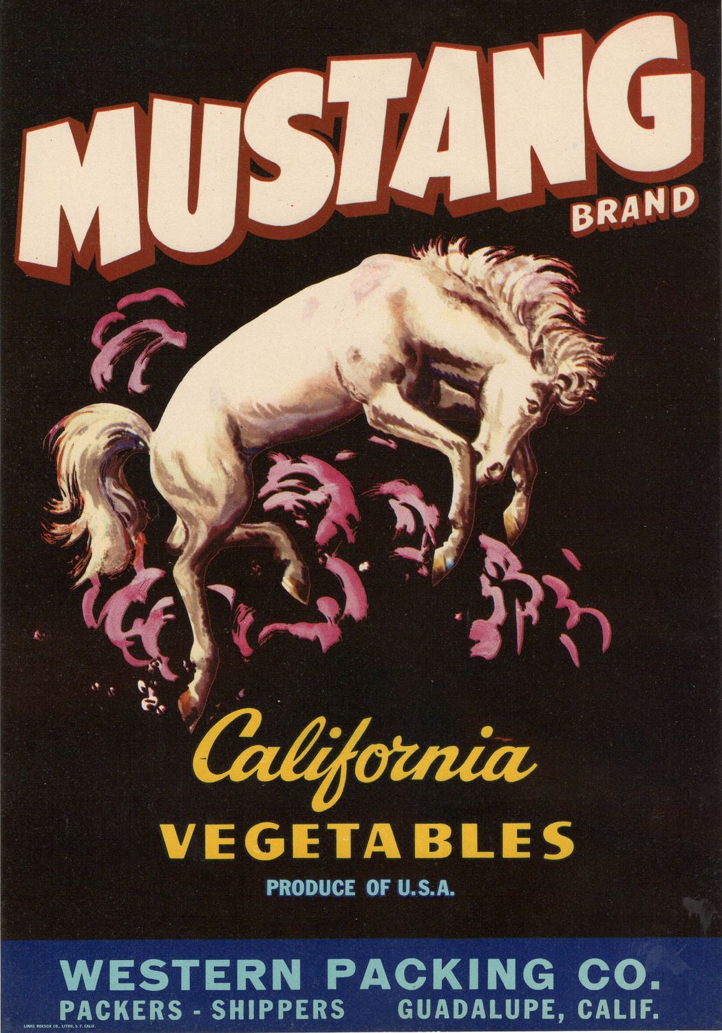 20th Century Fruit Label - Mustang California Vegetables