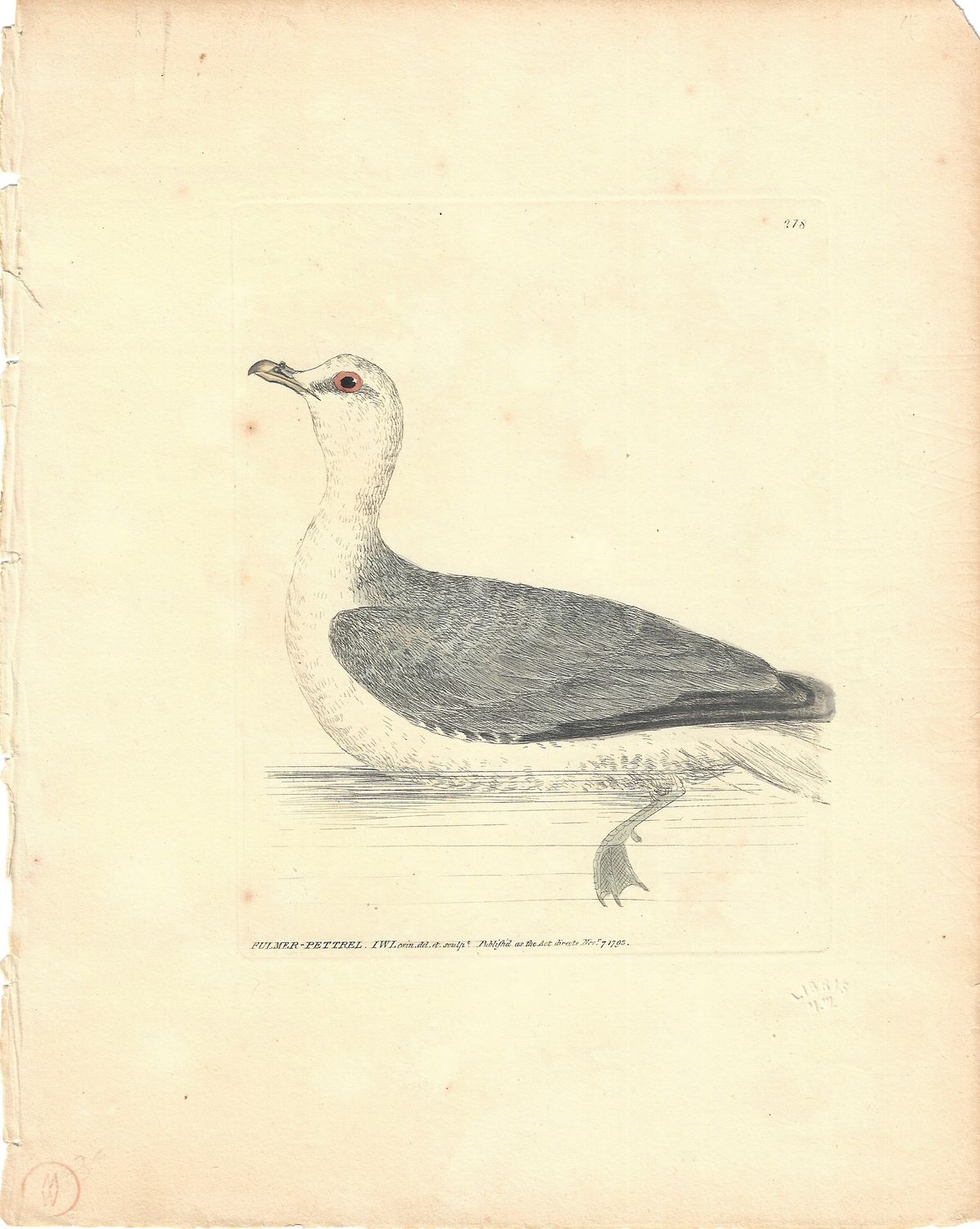 1793 View of a Fullmer-Pettrell w/ text by I W Lewin w/ohc