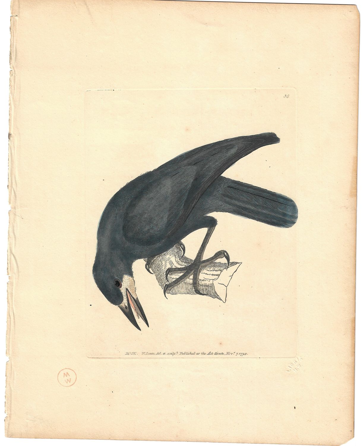 1793 View of a Rook w/ text by I W Lewin w/ohc