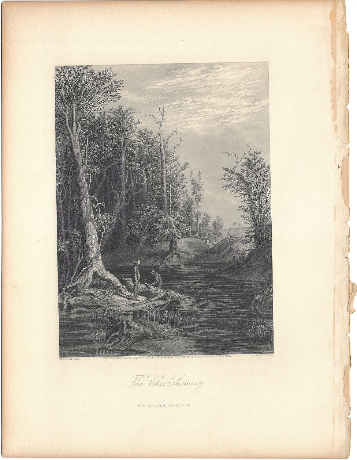 1873 View of The Chickahominy River from Picturesque America