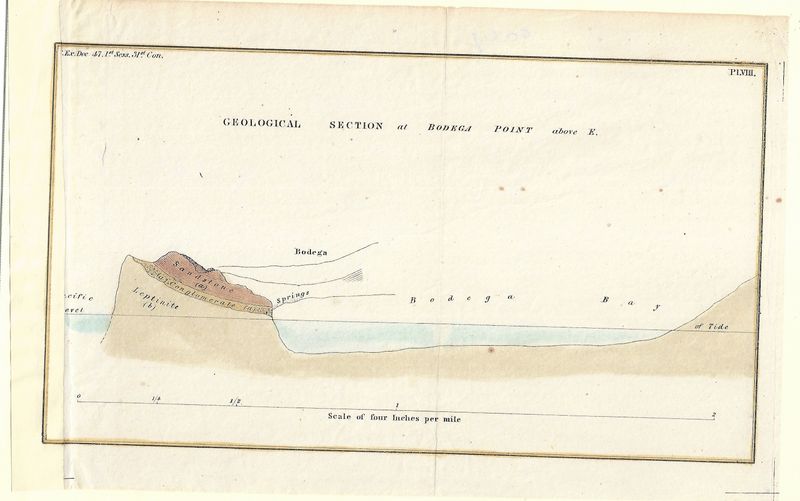 1849-51 USCS Geological Section at Bodega Point, Bodega Bay CA w/hc