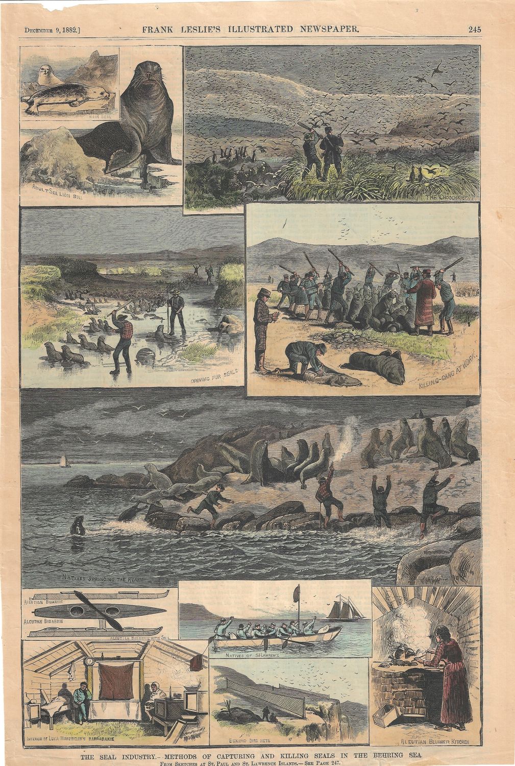 1882 The Seal Industry in the Behring Sea from F. Leslie's Illustrated News w/hc
