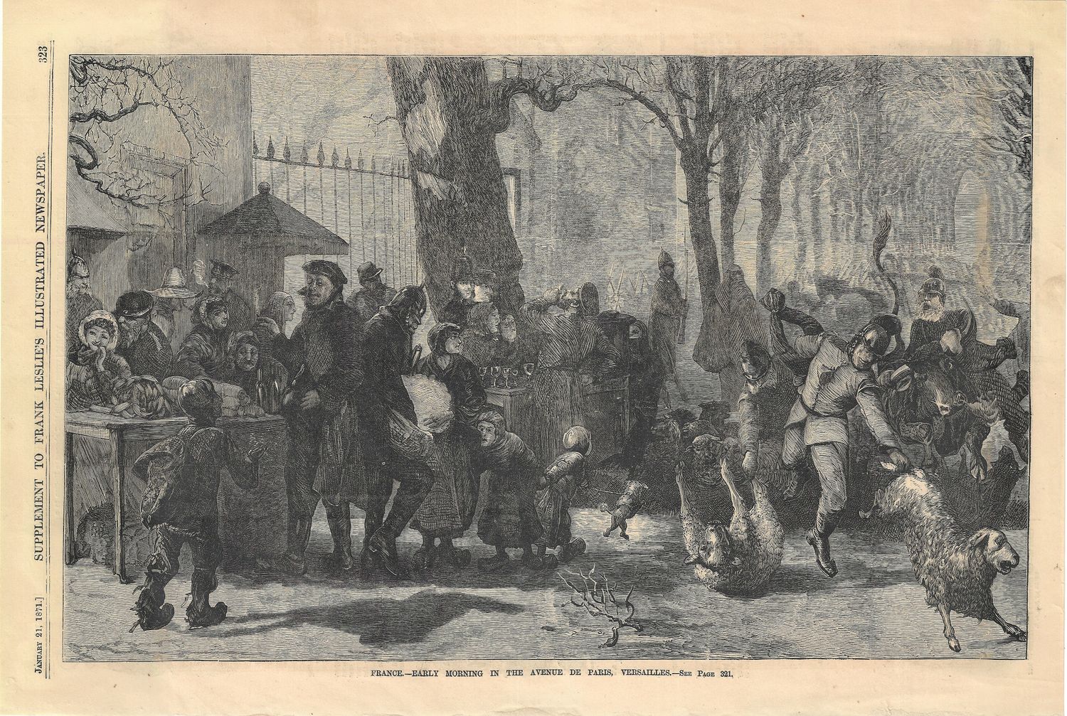 1871 Scene from The Ave de Paris, Versailles, France