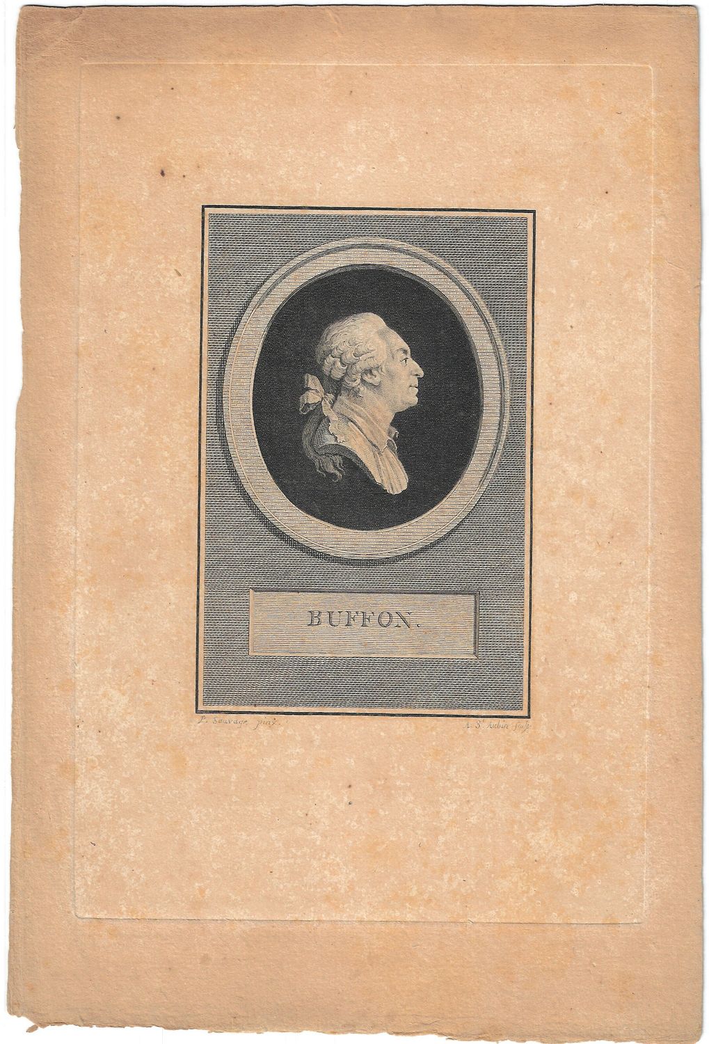 1788 Portrait of Buffon