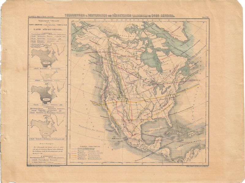 1860 Map of the Range and Habitat of Mammals in North America w/ OHC