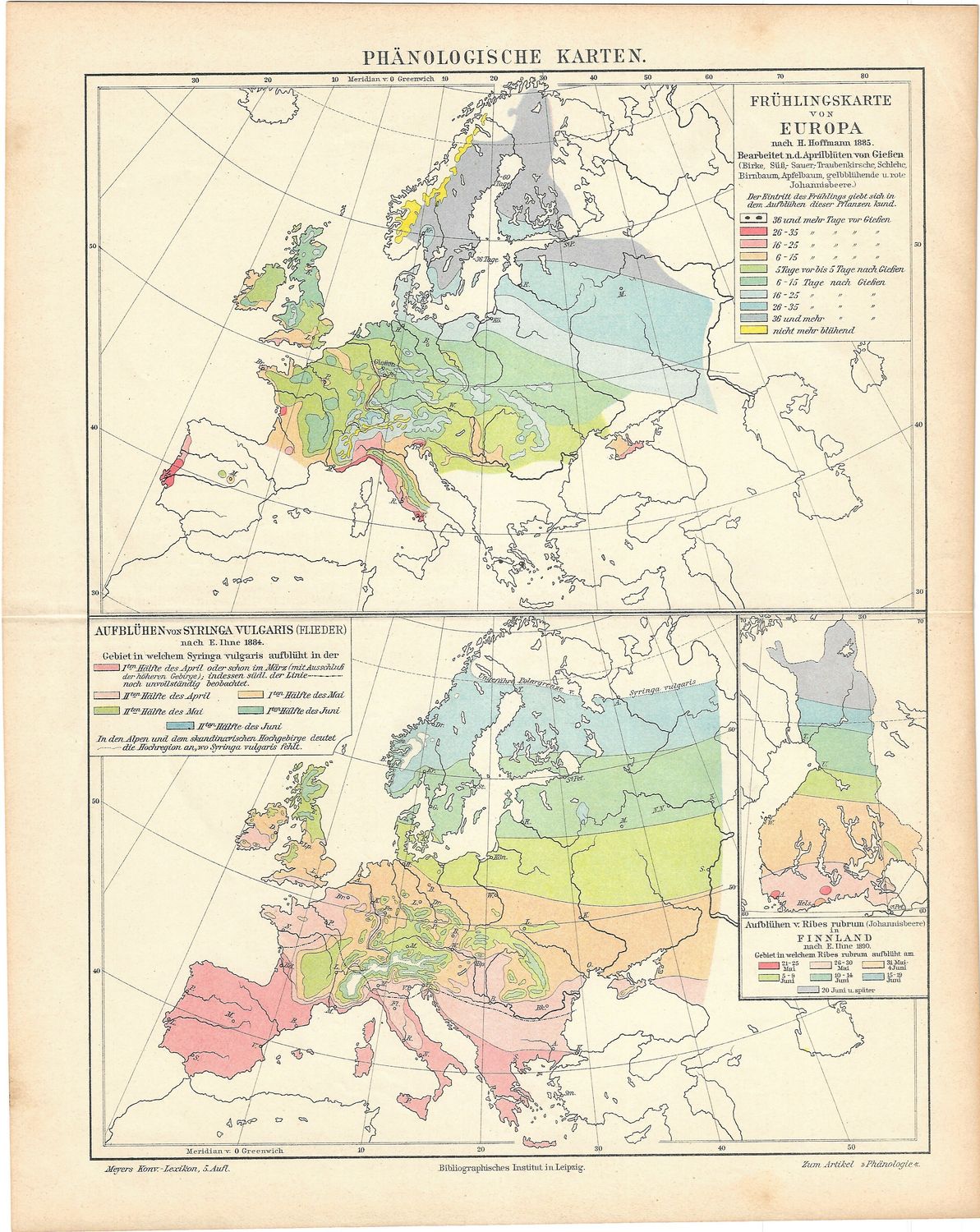 1910 Phanologische Map of Europe in German - Skin color map of Europe