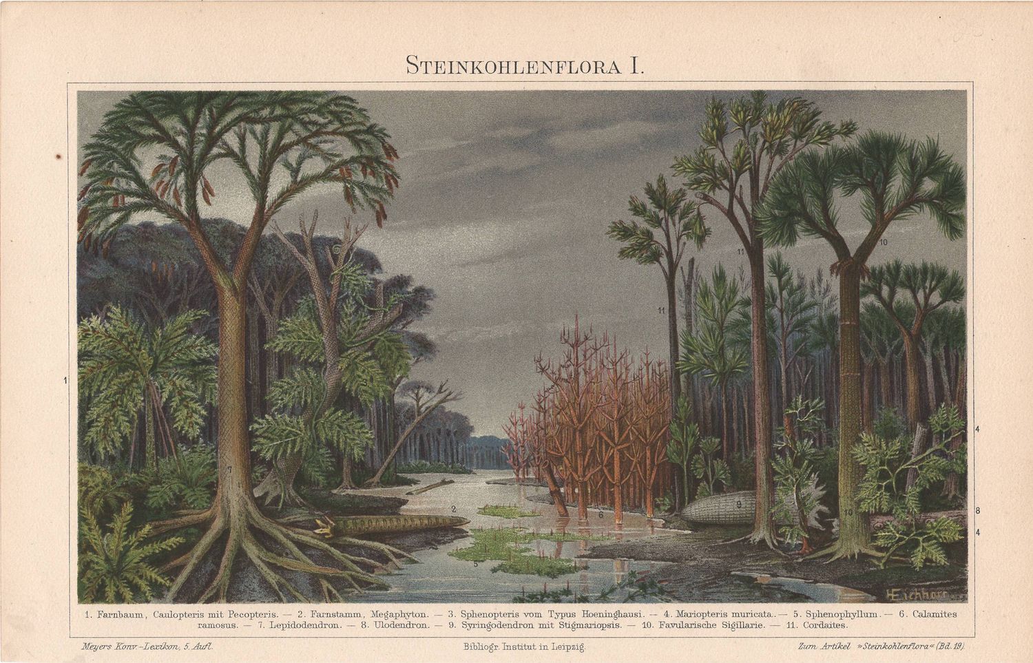 1912 View of American Swamp Plants (Origins of Coal) in Chromolithography