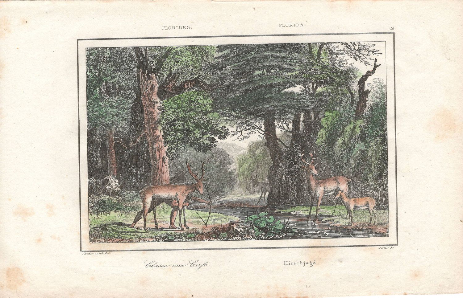 1837 View of Native Peoples Plate # 14 Hunting of Stag  - from Etats Unis D&#39;Amerique Dutch Edition