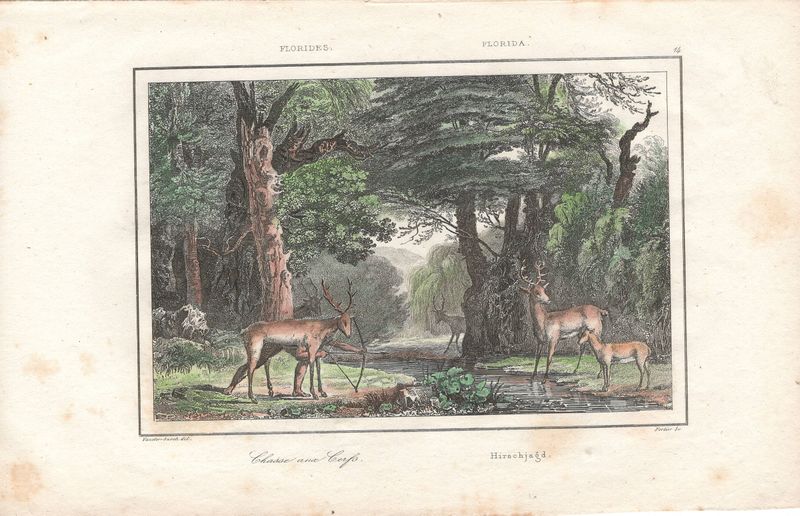 1837 View of Native Peoples Plate # 14 Hunting of Stag  - from Etats Unis D'Amerique Dutch Edition