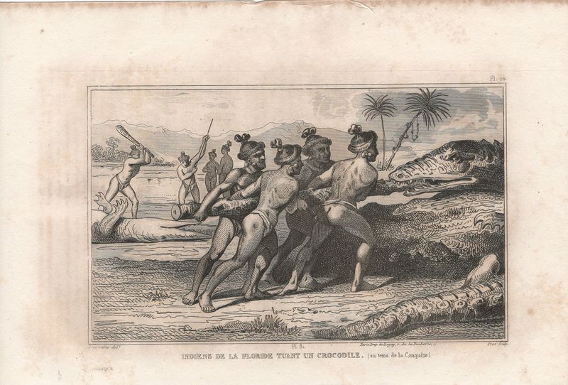 1859 Native Peoples of Florida Plate # 10 Indians of Florida Taunt (hunt) an Alligator by Demoraine