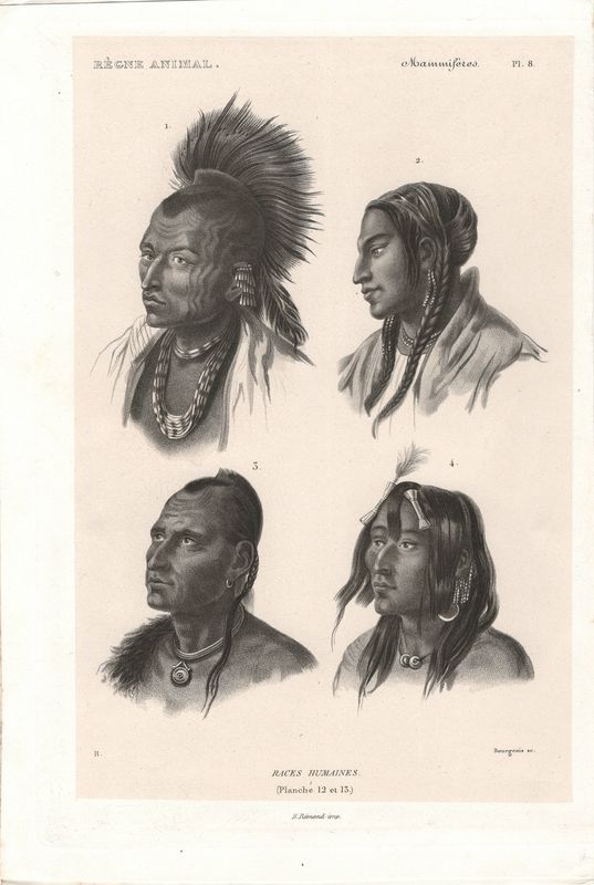 1845 View of Race Humaines w/ text page in Litho.