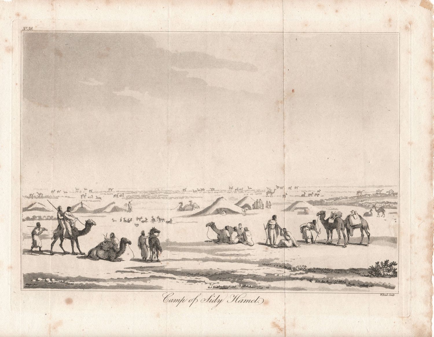 1801 View of the Camp of Sidy Hamet