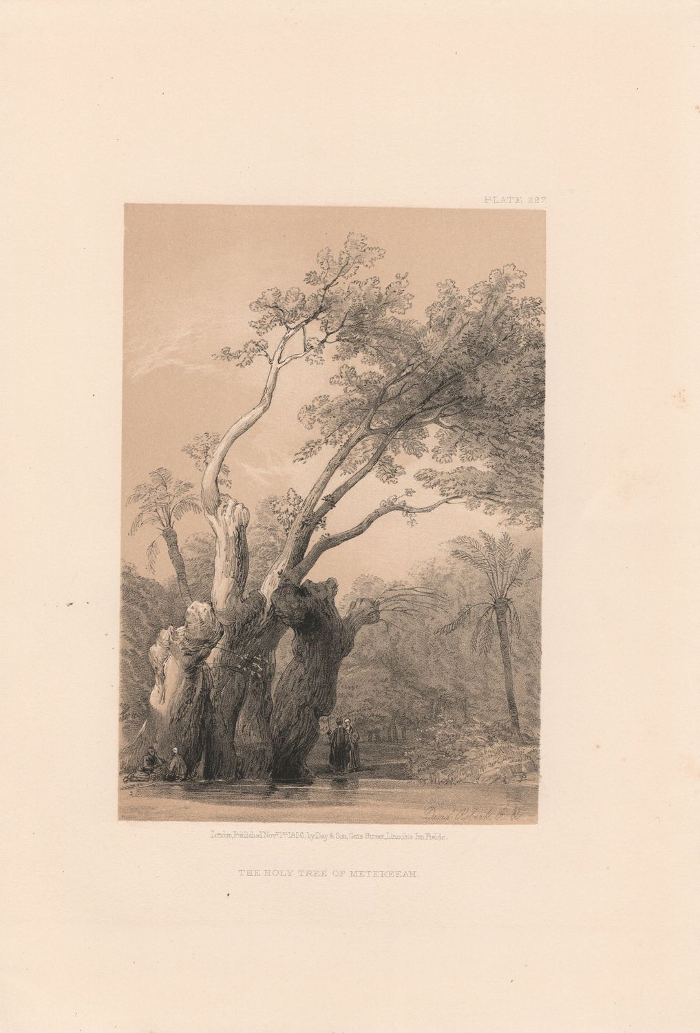 1856 Views of the Holy Land, Egypt &amp; Nubia by David Roberts - Plate # 227 The Holy Tree of Metereeah