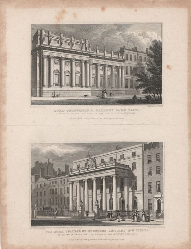 1829 View from " London and its Environs " by T. Shepherd - Lord Grosvenor's Gallery &amp; The Royal College of Surgeons