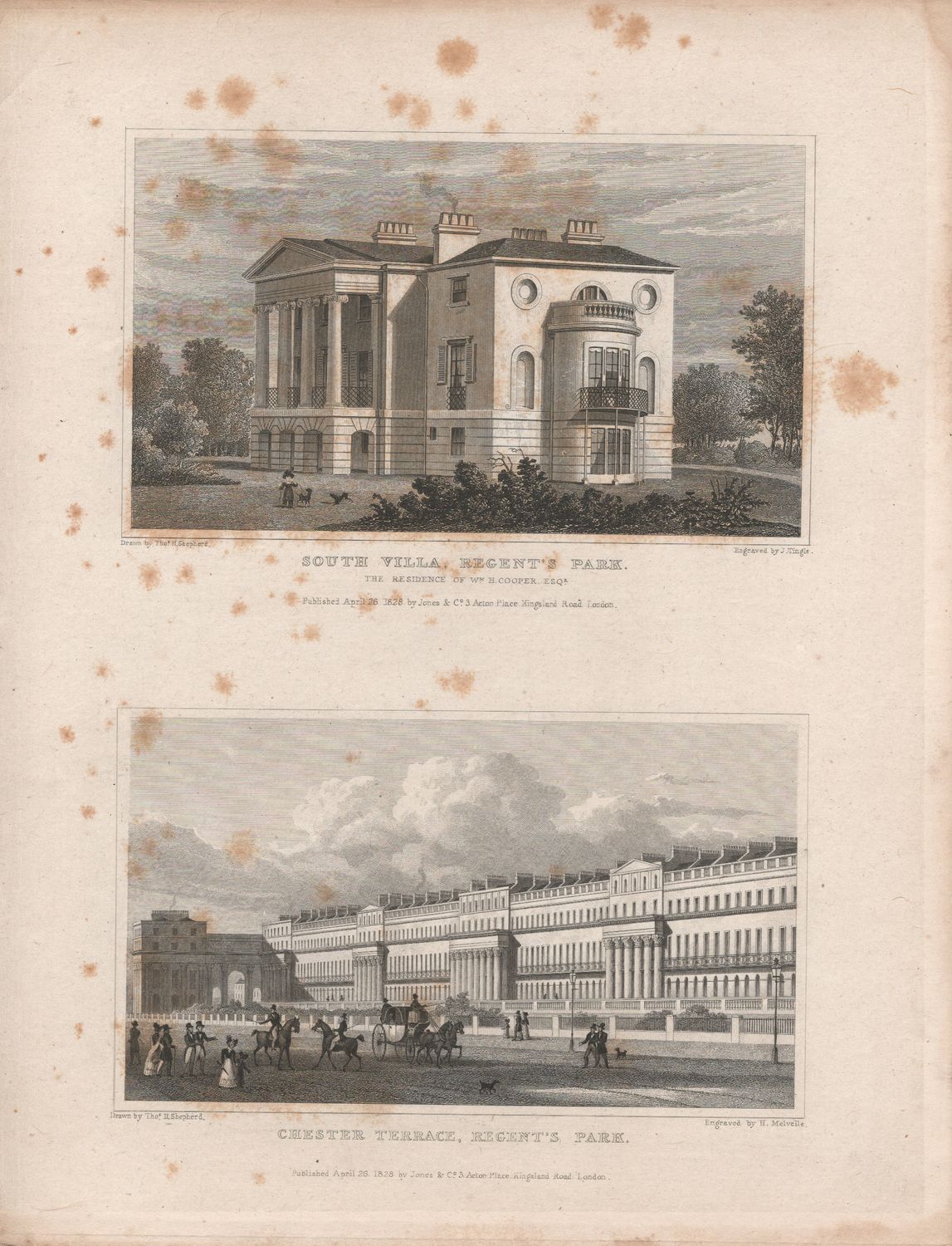 1829 View from &quot; London and its Environs &quot; by T. Shepherd - Regents Park , South Villa &amp; Chester Terrace
