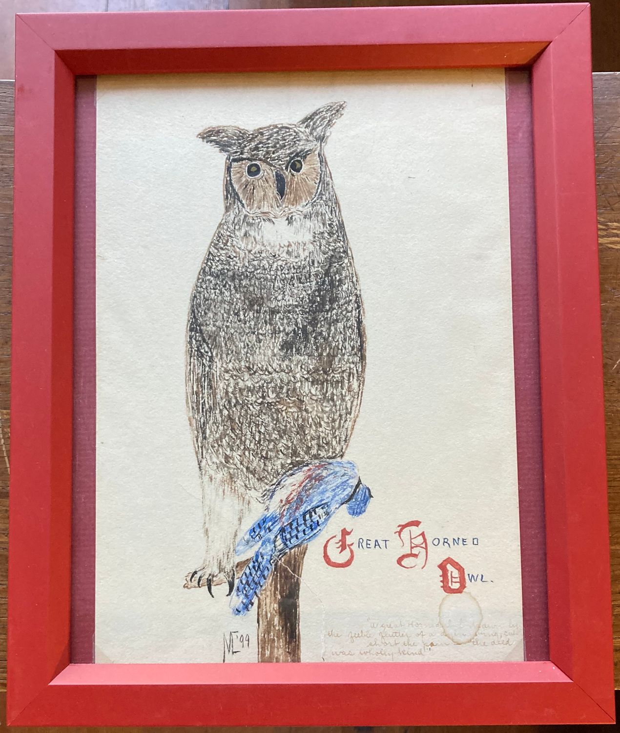 1899-1900 Set of 3 Hand Drawn Bird's: Owl, Swallow, Yellow Bellied sap sucker