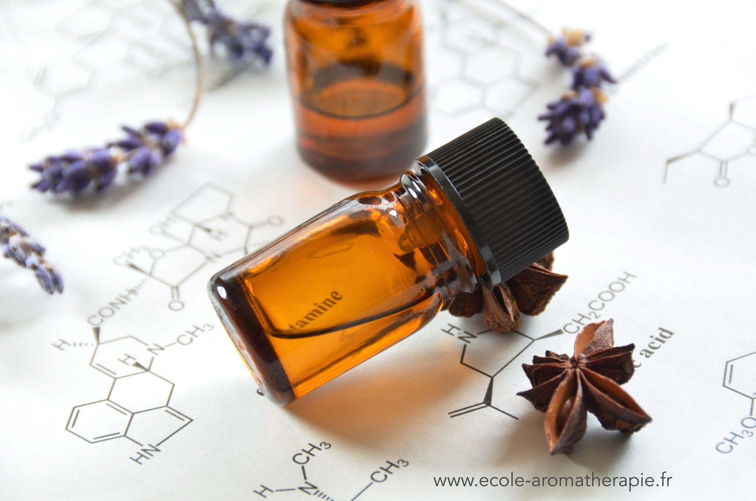 FORMATION AROMATOLOGUE