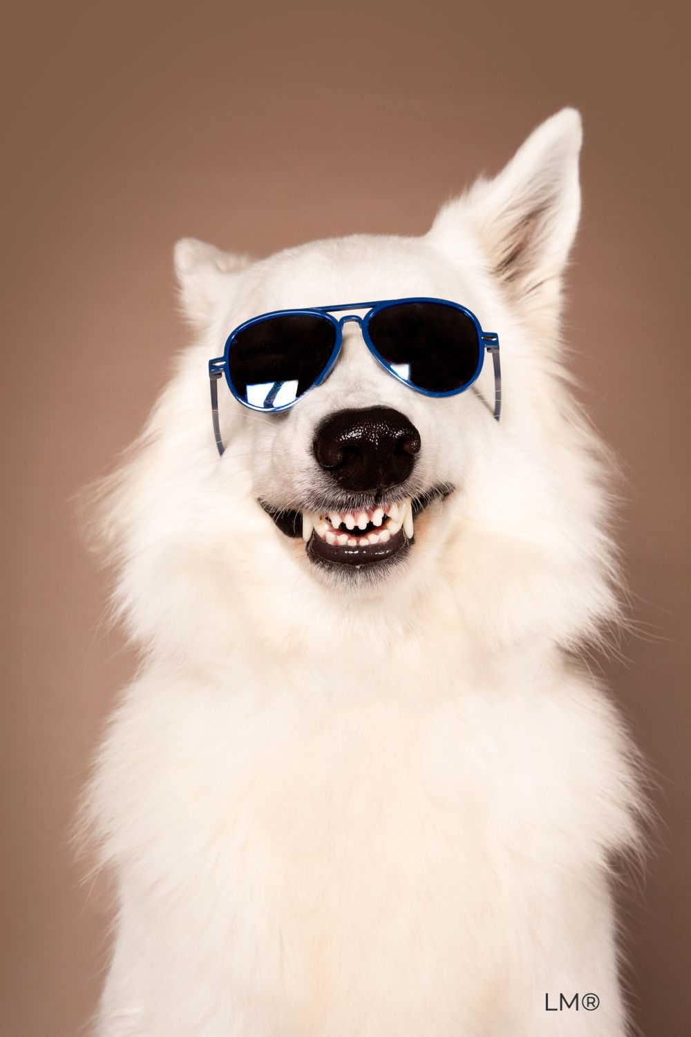 FORMATION AROMA &amp;LES ANIMAUX