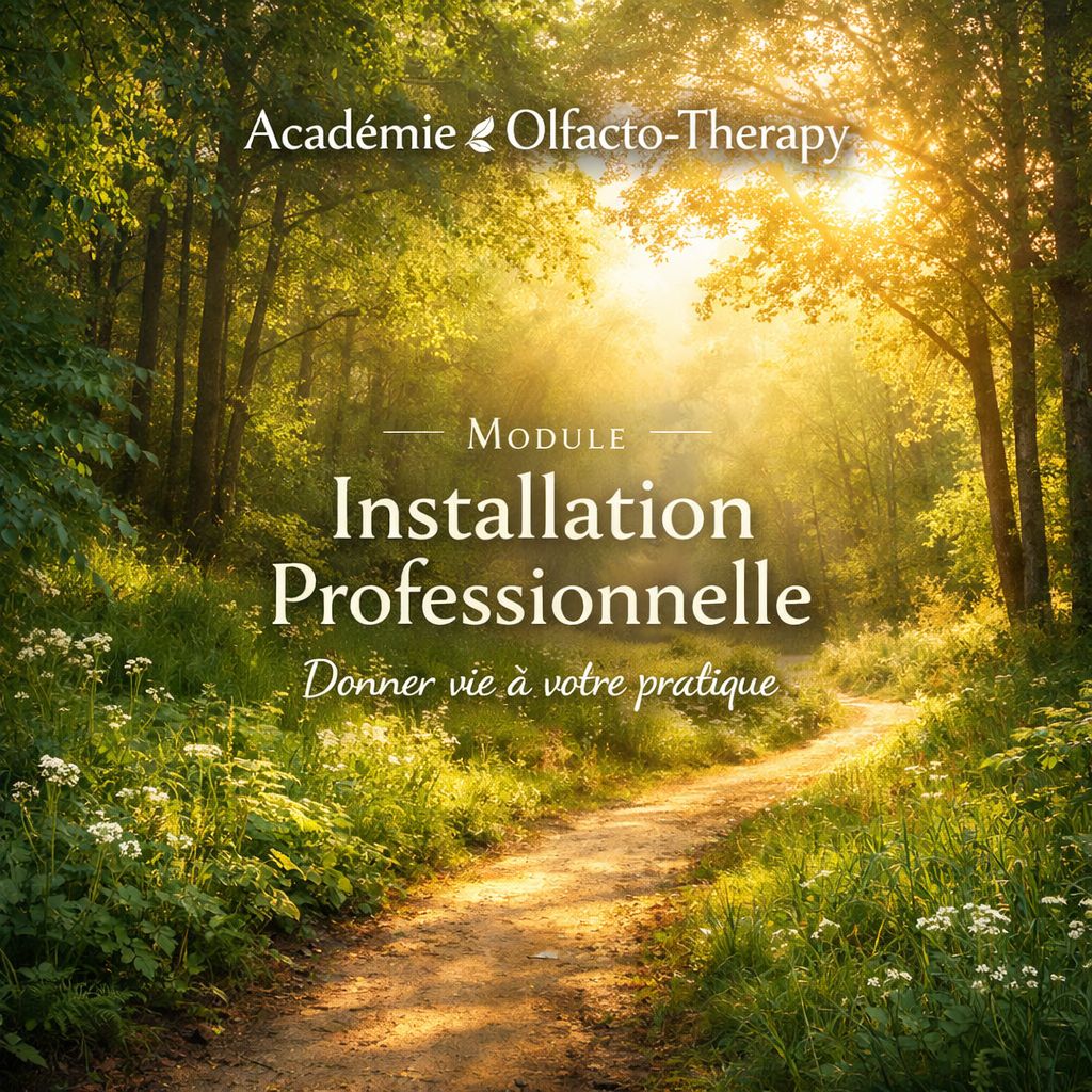 INSTALLATION PROFESSIONNELLE