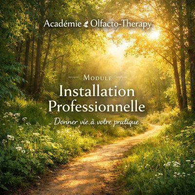 INSTALLATION PROFESSIONNELLE