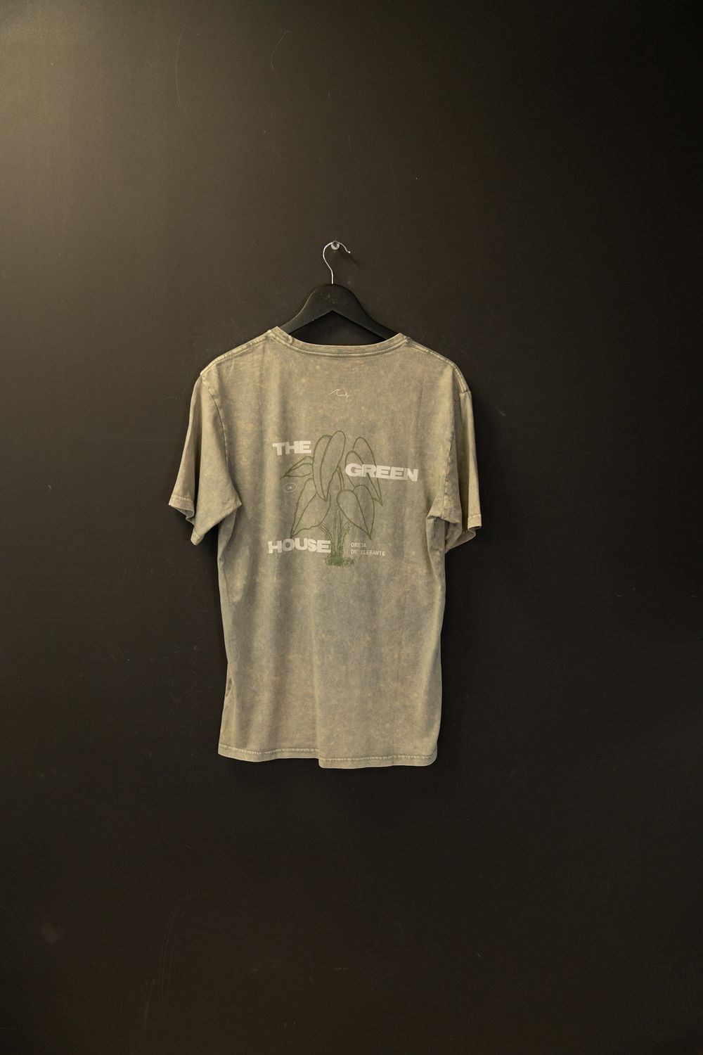 Remera Classic Fit Green House Washed NW