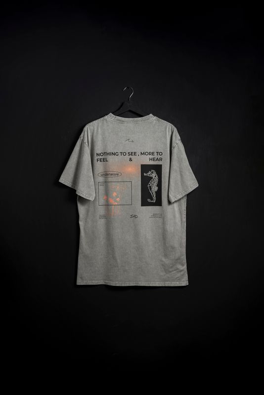 Remera Oversize Alamos Grey Washed new