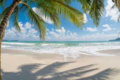 Beach Wood (Unisex)