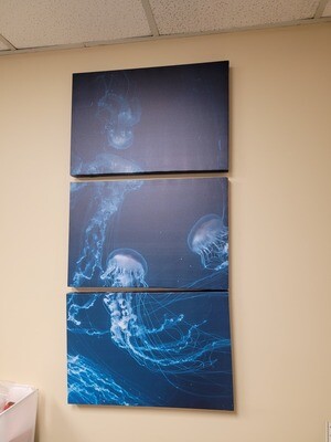 3 Piece Jelly Fish Canvas Wall Art 16x24 each Panel