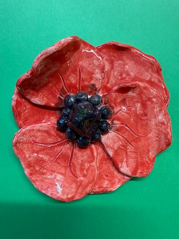 Year 5 Remembrance Day Poppies