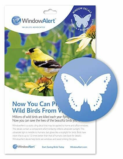 Window Alert - Butterflies