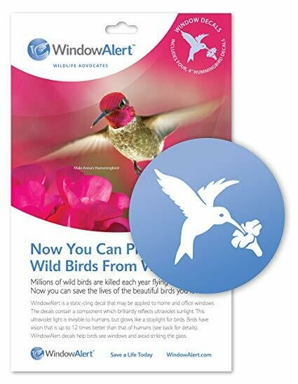 Window Alert - Hummingbird