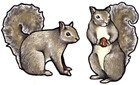 Jabebo Grey Squirrel Earrings