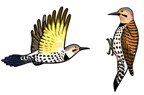 Jabebo Flicker Earrings
