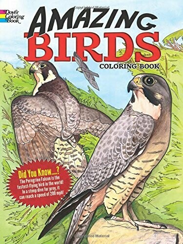 Amazing Birds Coloring