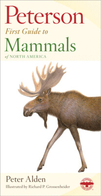 Pet First Guide Mammals