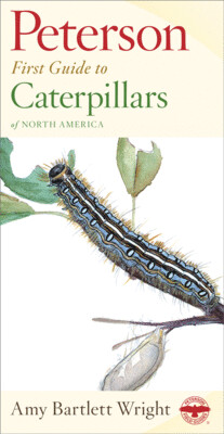 Pet First Guide Caterpillars
