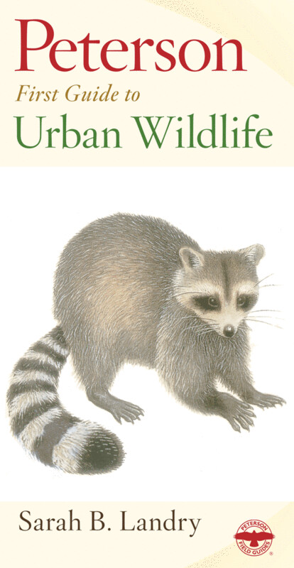 Peterson First Guide Urban Wildlife