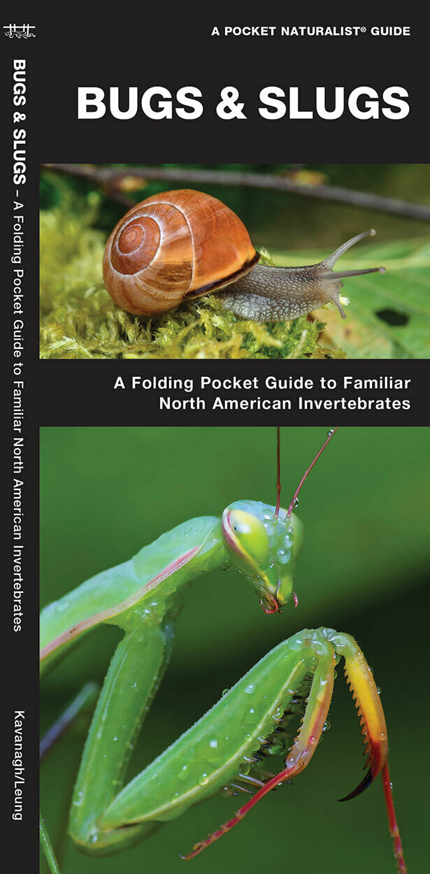 Pocket Naturalist: Bugs and Slugs