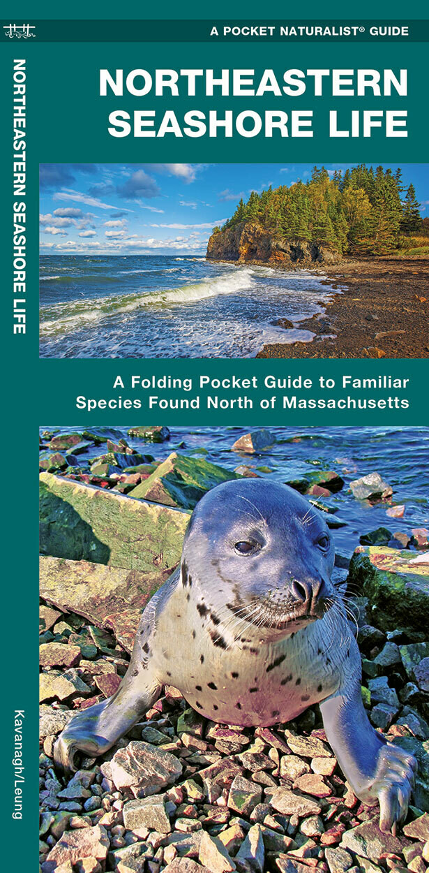 Pocket Naturalist: Northeastern Seashore Life