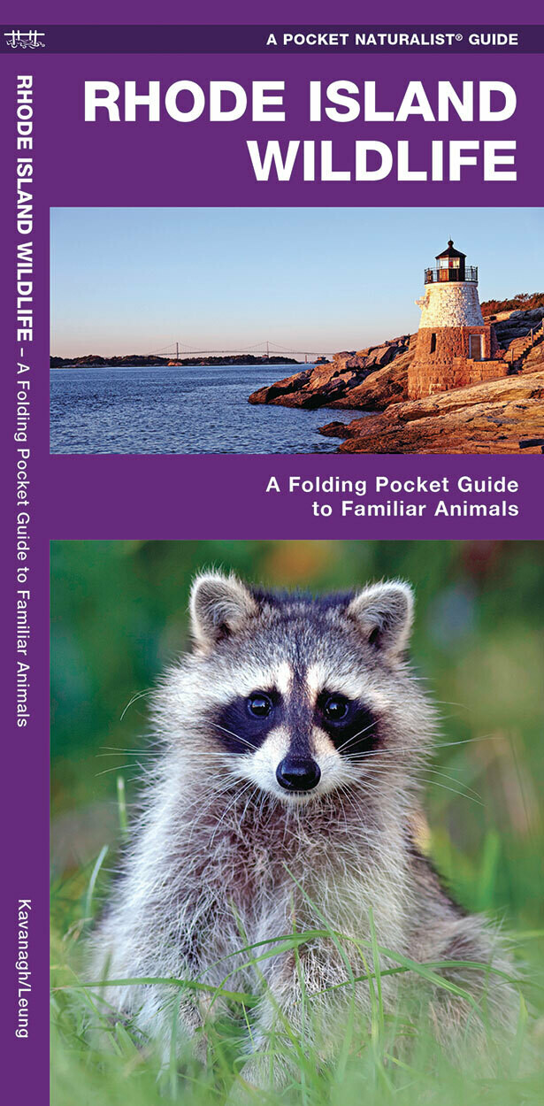 Pocket Naturalist: Rhode Island Wildlife