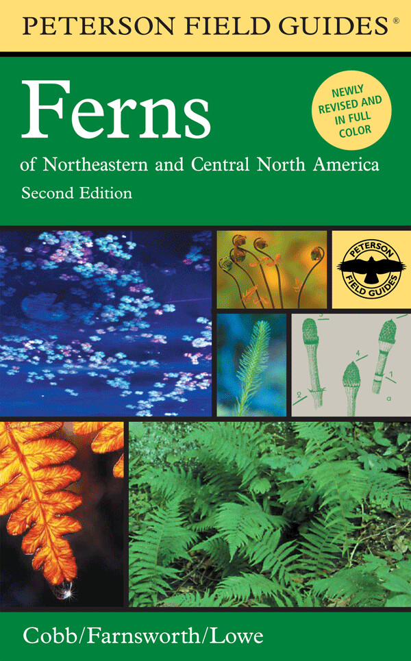 Peterson Field Guide to Ferns of Northeast and Central North America