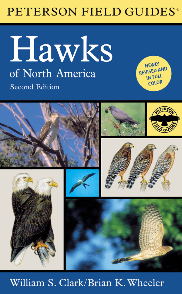 Peterson Field Guide to Hawks of North America