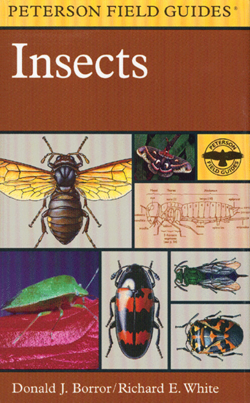 Peterson Field Guide to Insects